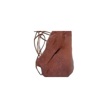 Spiritual Bags