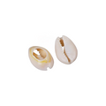 Shells