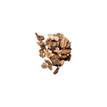 15A: Bear Root