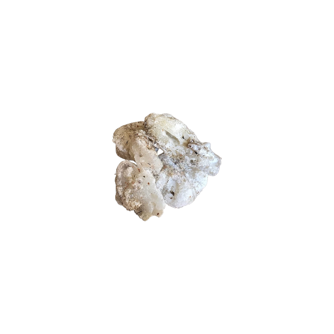 15D: Copal