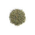 15H: Rosemary