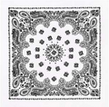 3C: White Bandana (22" x 22")